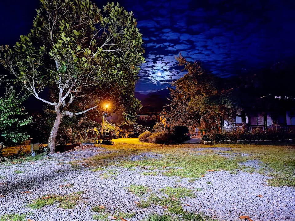 月光與庭園燈光映照的小半天南屏湖民宿夜景